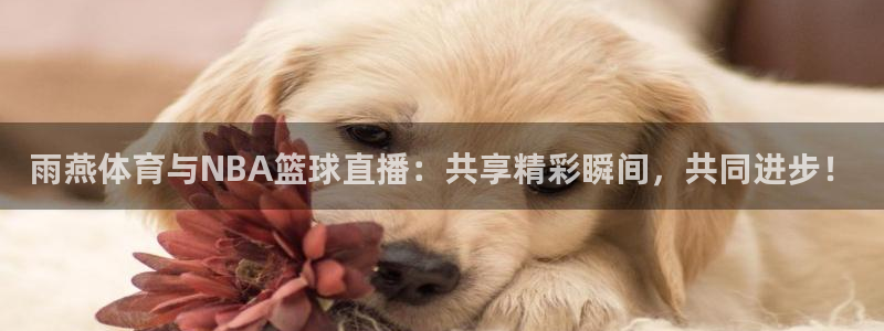 蜘蛛直播网址：雨燕体育与NBA篮球直播：共享精彩瞬间，共同进步！