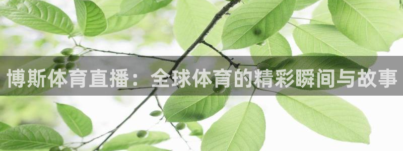 蜘蛛直播免费观看：博斯体育直播：全球体育的精彩瞬间与故事