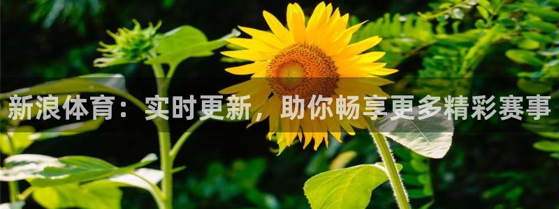 蜘蛛直播在线直播：新浪体育：实时更新，助你畅享更多精彩赛事
