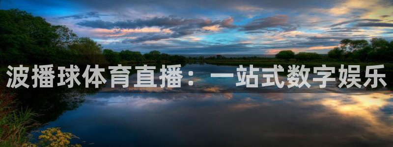 蜘蛛直播体育足球：波播球体育直播：一站式数字娱乐