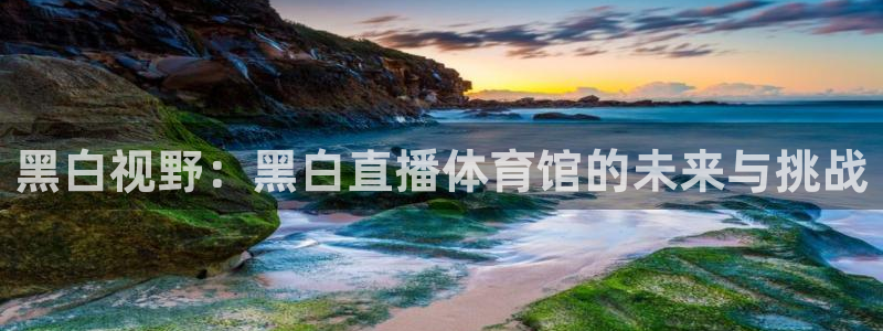 蜘蛛直播平台：黑白视野：黑白直播体育馆的未来与挑战