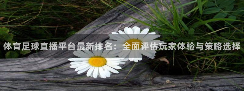 蜘蛛直播nba：体育足球直播平台最新排名：全面评估玩家体验与策略选择