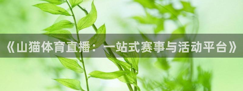 花蜘蛛直播：《山猫体育直播：一站式赛事与活动平台》