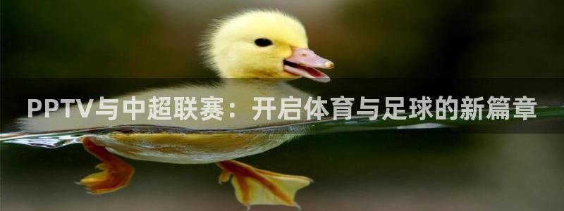 蜘蛛直播在线免费观看：PPTV与中超联赛：开启体育与足球的新篇章