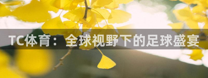 蜘蛛直播在线观看：TC体育：全球视野下的足球盛宴