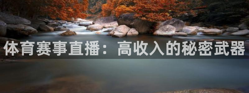 红蜘蛛直播足球：体育赛事直播：高收入的秘密武器