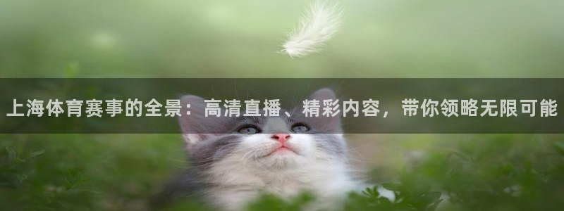 蜘蛛直播体育app：上海体育赛事的全景：高清直播、精彩内容，带你领略无限可能